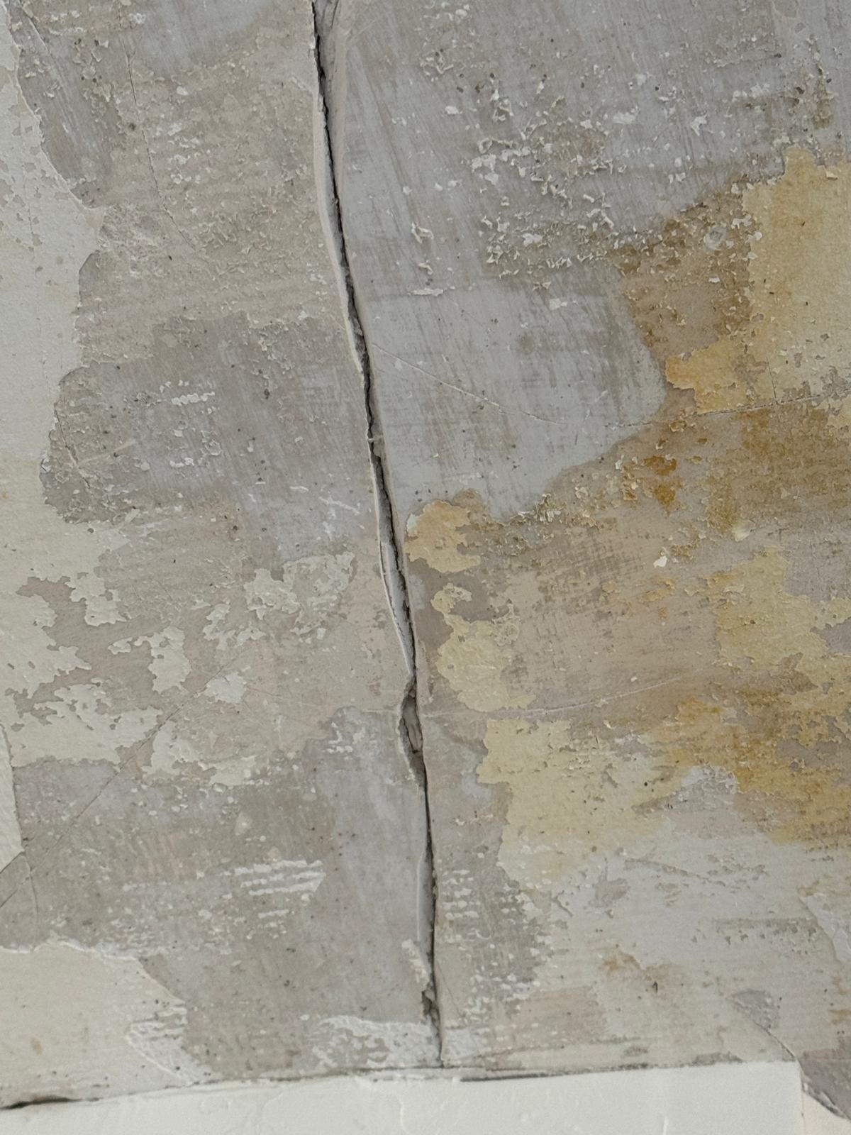 Pose de carrelage mural — BS David Renov